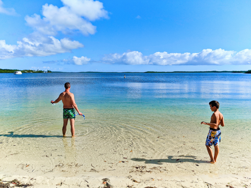 Its summer time in the Florida Keys💥🏝️💦🐬🐠