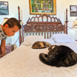 Taylor Family with Cats at Hemmingway House Key West Florida Keys 4