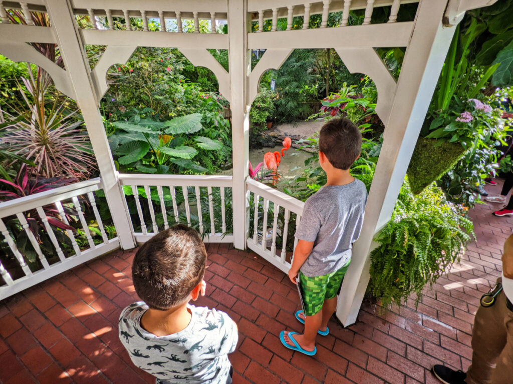 Taylor Family with Flamingos at Key West Butterfly and Nature Conservatory Florida Keys 4