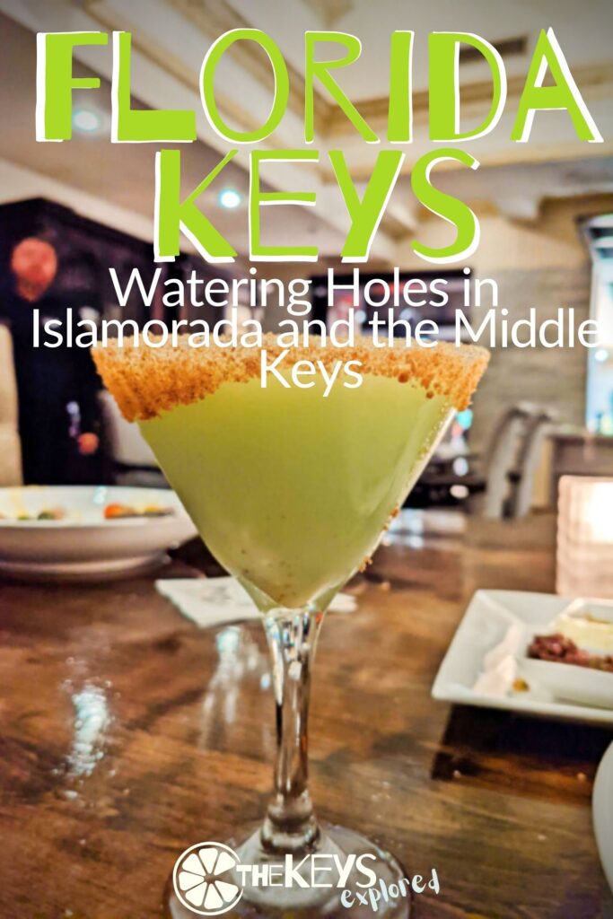 Is there anything better than enjoying a delicious drink while taking in the stunning views of Islamorada? We have all the best Watering Holes in Islamorada and the Middle Keys to watch the sunset and cool down with a cold one. 