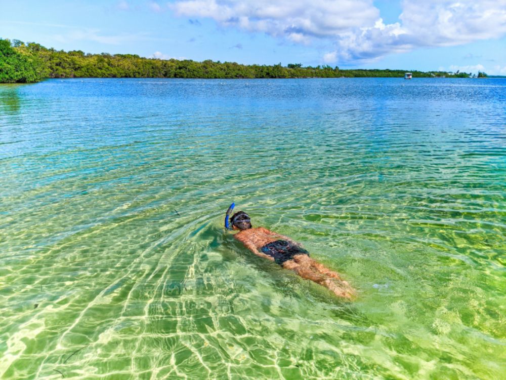 Snorkeling Jonn Pennekamp State Park