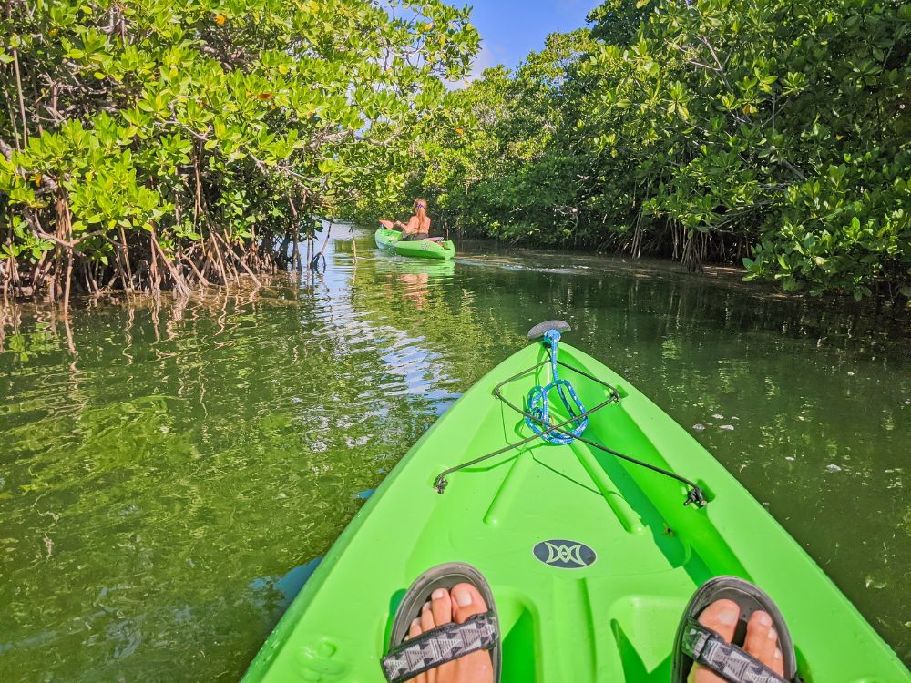 Kayaking Jonn Pennekamp State Park