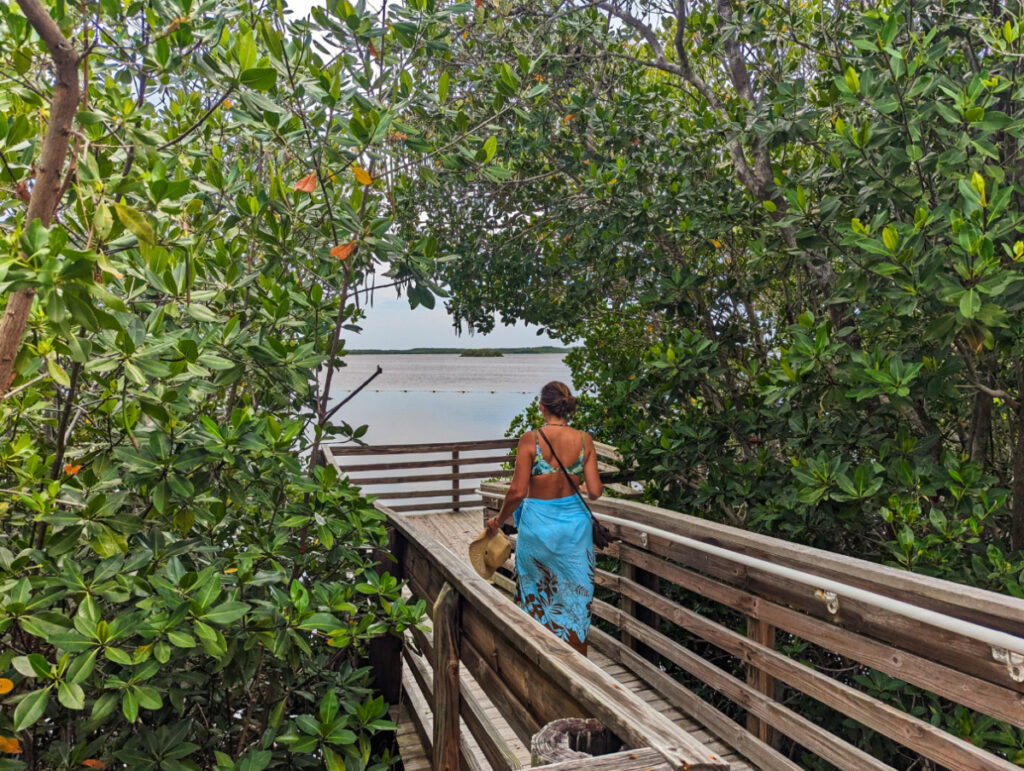 Kelly on Boardwalk Trails at John Pennekamp Coral Reef State Park Key Largo Florida Keys 1