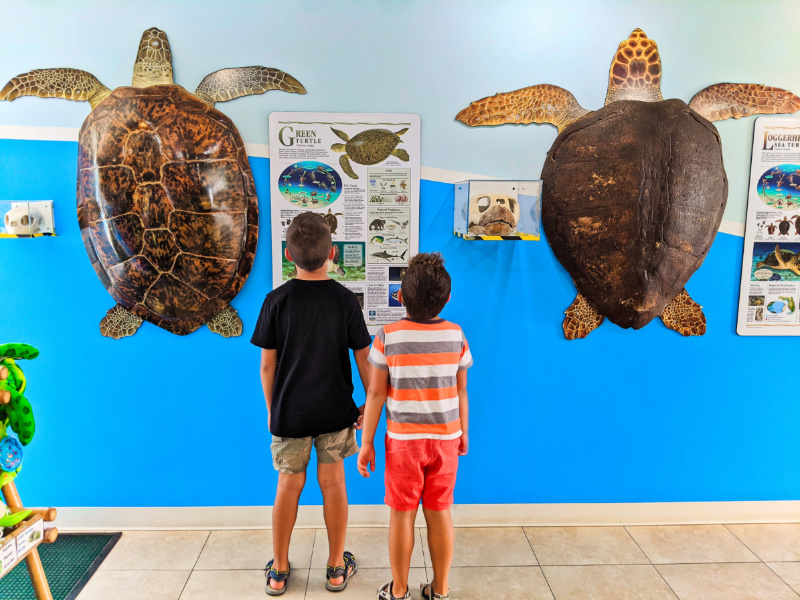 Taylor Family at Turtle Hospital Marathon Florida Keys 2020