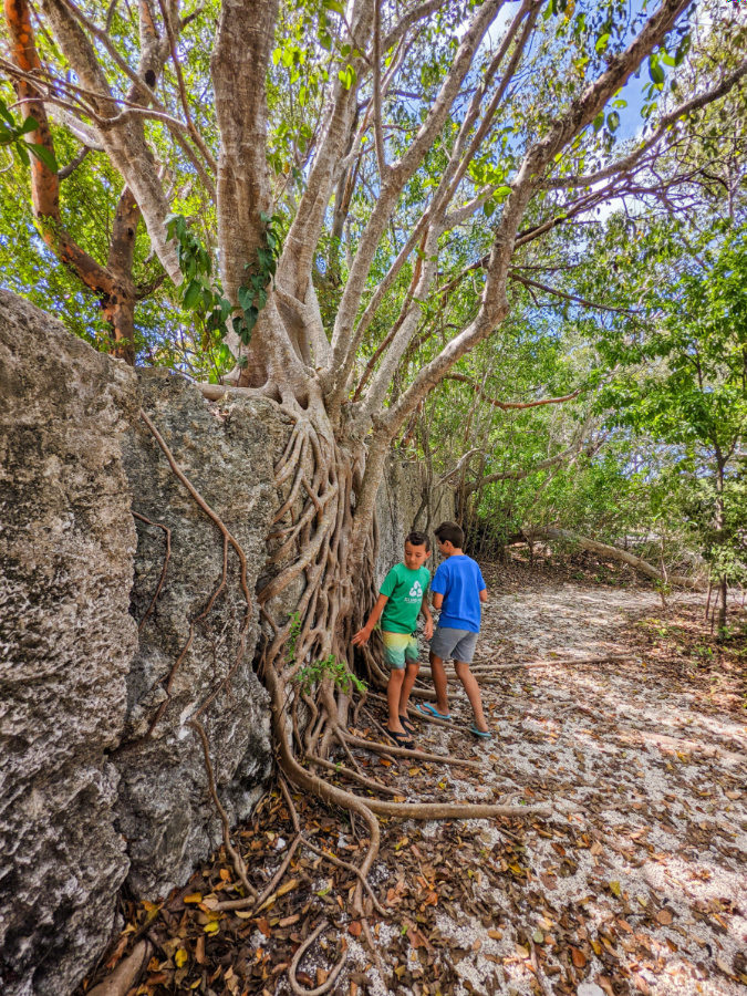 Taylor Family at Windley Key Fossil Reef Geological State Park Florida Keys 1