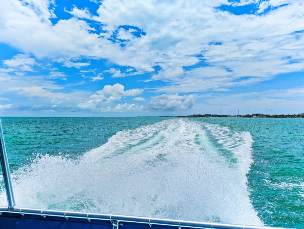 Wake Behind Catamaran with Starfish Snorkeling Tour Marathon Florida Keys