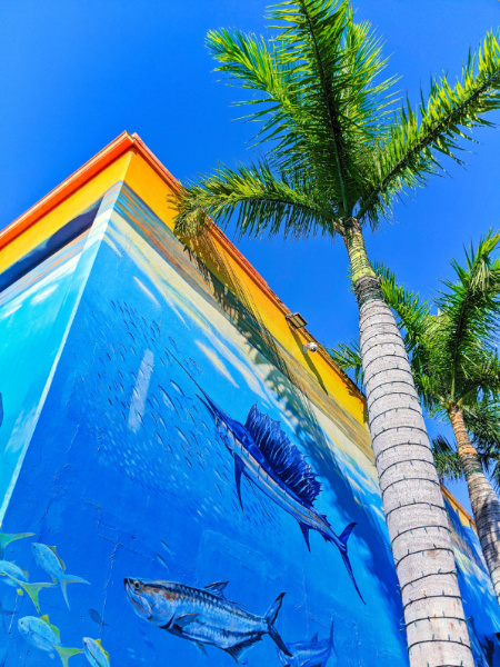 Wyland Guy Harvey Undersea Mural at Key West Waterfront Brewery Florida Keys 2020 6