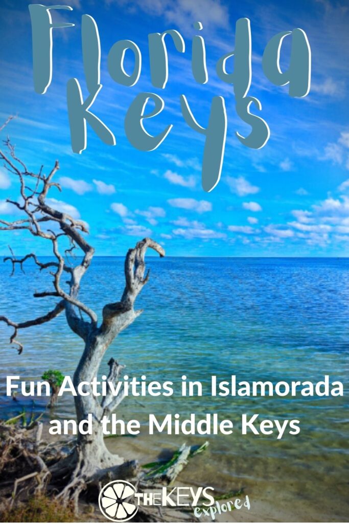 Visiting the Middle Keys of Islamorada is the perfect way to get away and find inspiration in a unique and beautiful environment.  There are many fun activities in Islamorada and the Middle Keys you can enjoy! 