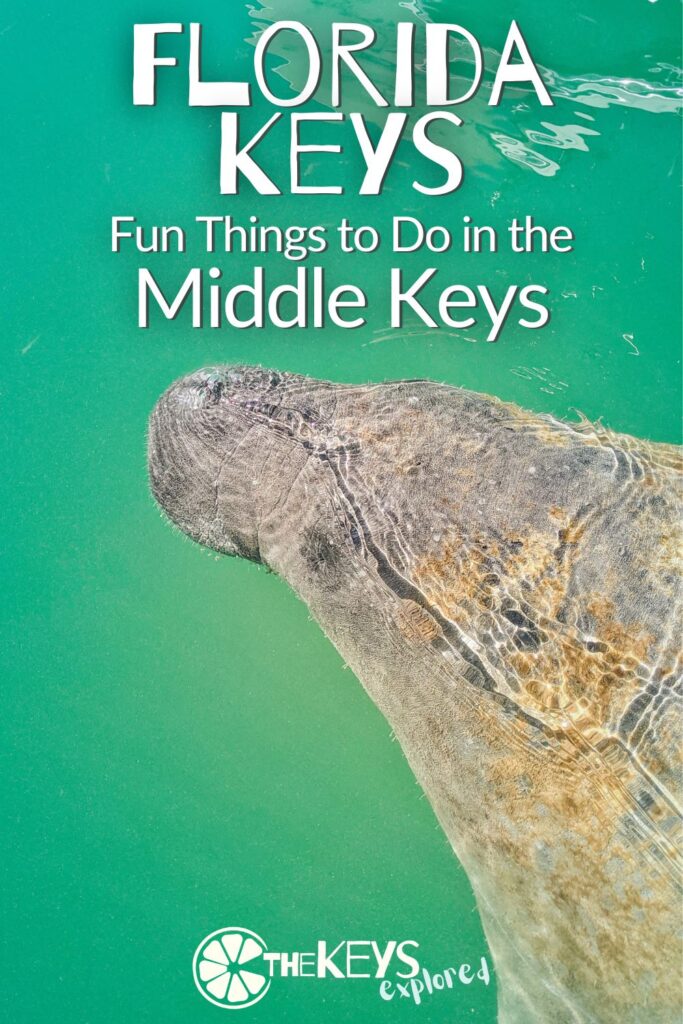 As many people just drive straight down to Key West, the Middle Keys are full of fun things to do and quiet places to enjoy the vibe of the Florida Keys. See our top picks for activities and ways to enjoy this mellow part of the Keys.