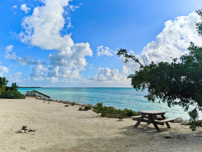 Picnic Area at Bahie Honda State Park Big Pine Key Florida Keys 2020 1