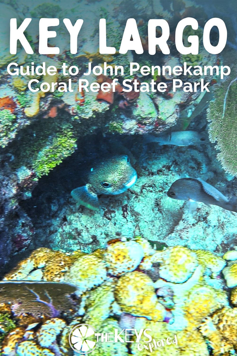 John Pennekamp Coral Reef State Park is located in Key Largo, in the upper Florida Keys.  If you are looking for a great place for water activities this is the perfect spot! 