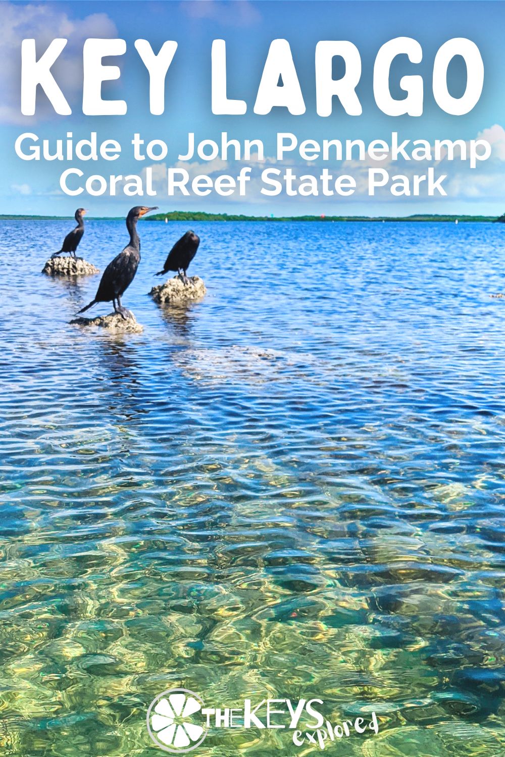 John Pennekamp Coral Reef State Park is located in Key Largo, in the upper Florida Keys. If you are looking for a great place for water activities this is the perfect spot!