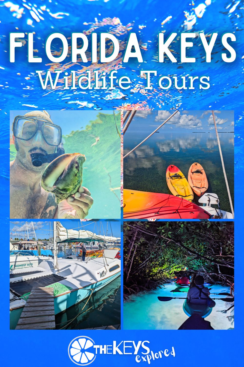 There are lots of great wildlife tours in the Florida Keys, for everything from seeing dolphins to diving at beautiful reefs. We've picked our favorite wildlife tours including kayaking, sailing and catamarans to help visitors plan great experiences.