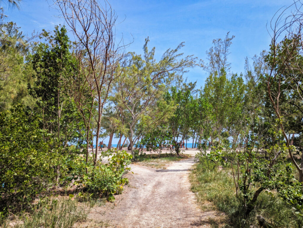 Beach Trail at Fort Zachary Taylor State Park Key West Florida Keys 1