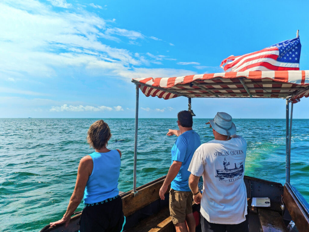 Dolphin Watching on African Queen Boat Tour from Key Largo Florida Keys 1