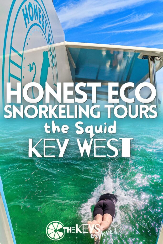 Snorkeling with Honest Eco in Key West is one of the most family-friendly tours available. Going out on the Squid (catamaran) is a fun way to explore with naturalists who know so much and are really passionate about sharing the waters of Key West with visitors.