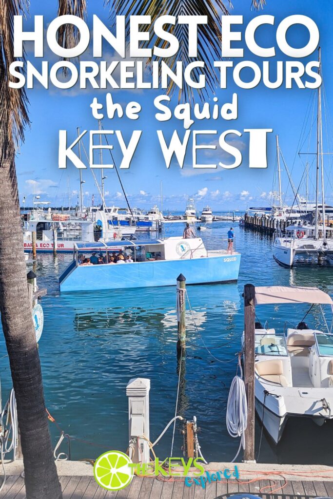 Snorkeling with Honest Eco in Key West is one of the most family-friendly tours available. Going out on the Squid (catamaran) is a fun way to explore with naturalists who know so much and are really passionate about sharing the waters of Key West with visitors.