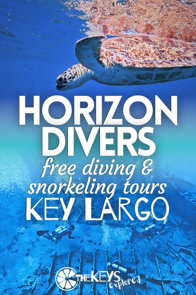 Horizon Divers on Key Largo does a great job accommodating all skill levels, including free divers and snorkelers. From shipwrecks to reefs, see what you can expect going out with Horizon for an incredible Florida Keys wildlife experience.