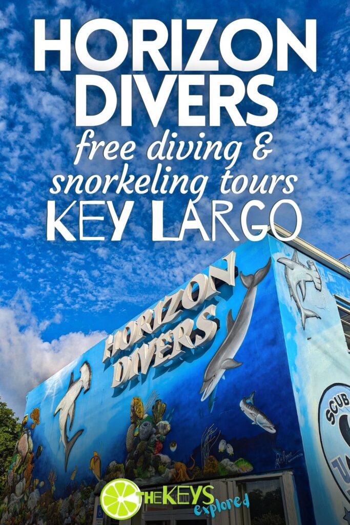 Horizon Divers on Key Largo does a great job accommodating all skill levels, including free divers and snorkelers. From shipwrecks to reefs, see what you can expect going out with Horizon for an incredible Florida Keys wildlife experience.