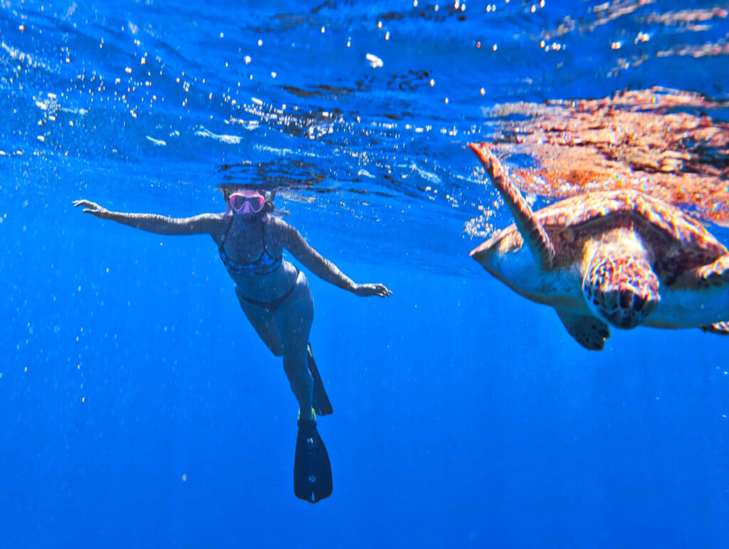 Kelly with Sea Turtle while diving at Benwood Shipwreck off Key Largo with Horizon Divers Florida Keys 1