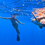 Kelly with Sea Turtle while diving at Benwood Shipwreck off Key Largo with Horizon Divers Florida Keys 1