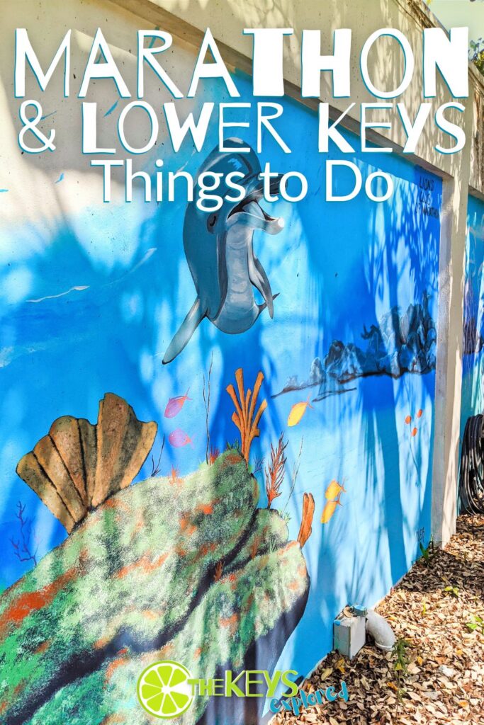 Traveling to the Keys and looking for great things to do in Marathon and lower keys? There are so many opportunities for adventure and lots of restaurants, wildlife, and fishing spots too.