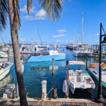 Squid Catamaran Honest Eco Tours in Historic Seaport Key West Florida Keys 1