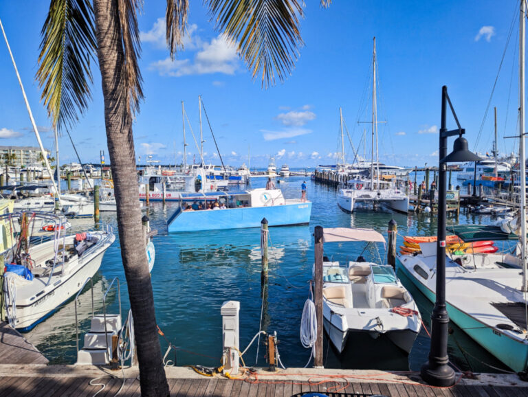 Squid Catamaran Honest Eco Tours in Historic Seaport Key West Florida Keys 1