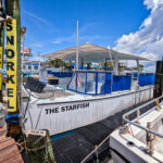 Starfish Snorkeling Tour Catamaran at Marina in Marathon Florida Keys 1