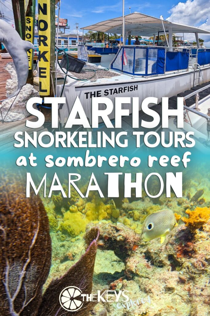 Not all of the best things are flashy, and Starfish Catamaran snorkeling is one of the best adventures to have in the Florida Keys. See what to expect leaving from Marathon to the Sombrero Reef Marine Sanctuary for an awesome snorkeling experience.