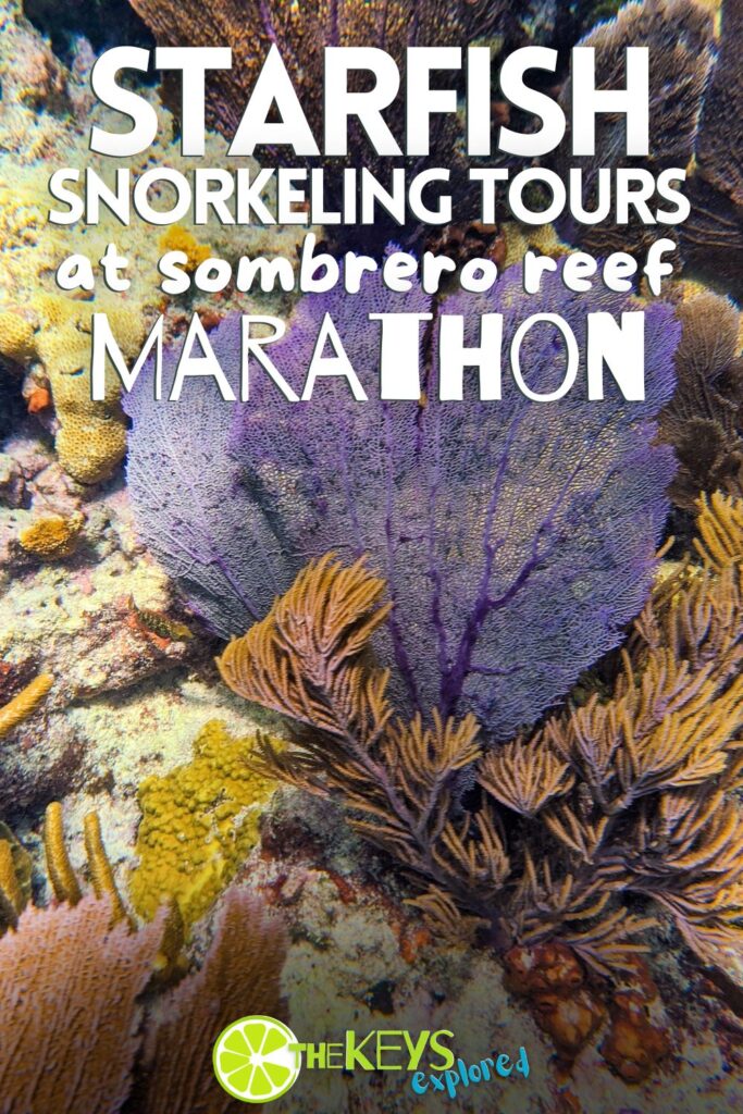 Not all of the best things are flashy, and Starfish Catamaran snorkeling is one of the best adventures to have in the Florida Keys. See what to expect leaving from Marathon to the Sombrero Reef Marine Sanctuary for an awesome snorkeling experience.