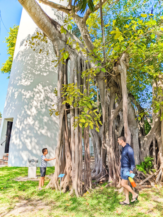 Taylor Family in Banyan Tree at Key West Lighthouse and Maritime Museum Florida Keys 1