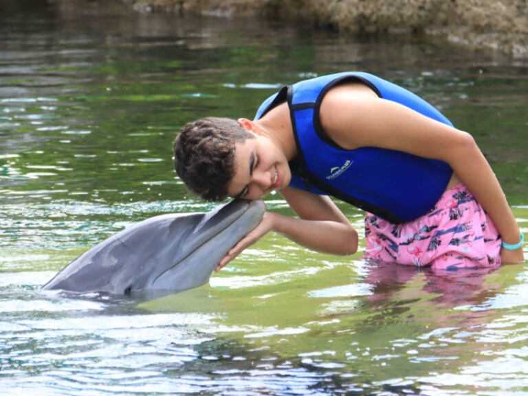 Taylor Family swimming at Dolphins Plus Key Largo Florida Keys 1