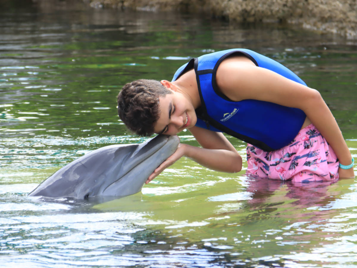 Dolphins Plus Key Largo: an Unforgettable Swimming with Dolphins in the Keys
