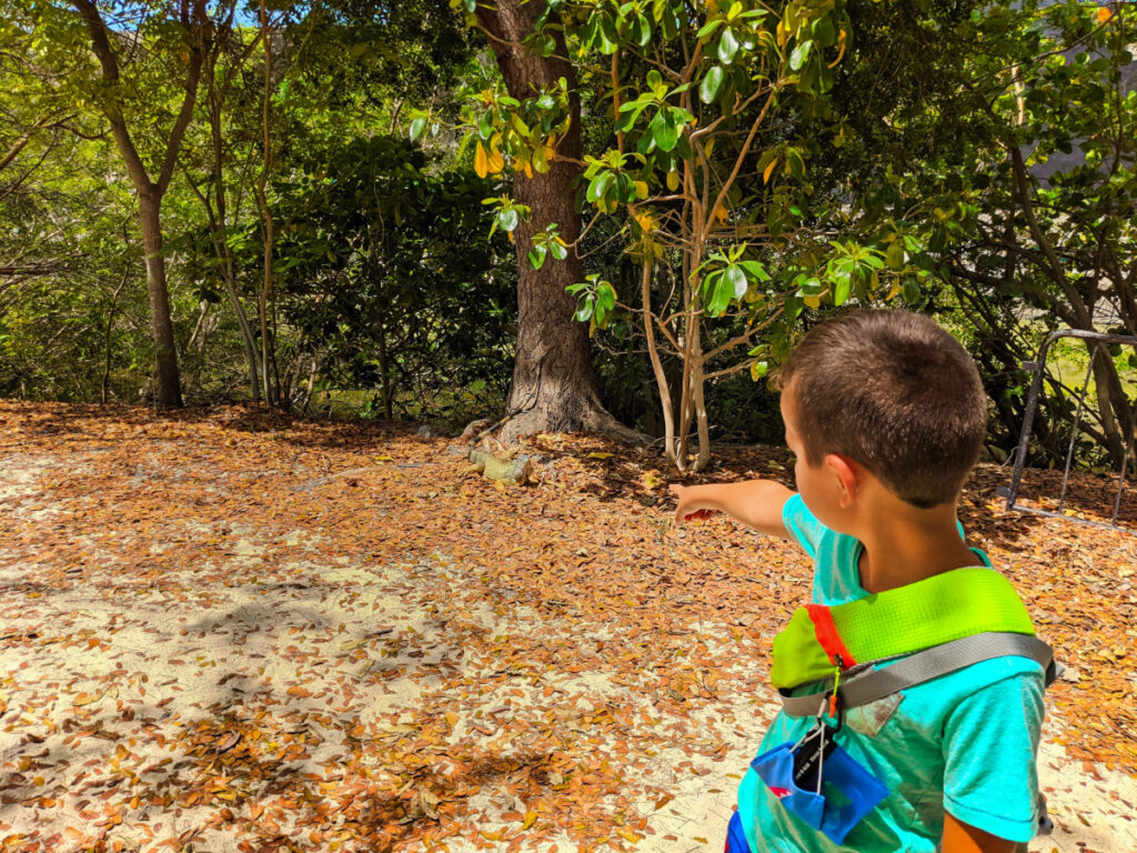 Taylor Family with Iguana at Fort Zachary Taylor State Park Key West Florida Keys 2