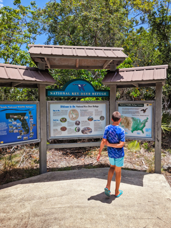 Taylor Famiy at Key Deer Refuge exhibit at Blue Hole Preservation Area on Big Pine Key Lower Florida Keys 1