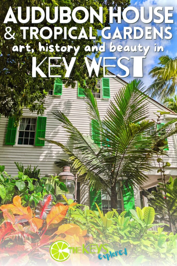 The Audubon House and Tropical Gardens in Key West are a unique addition to your time in the Conch Republic. From beautiful bird art by John James Audubon to tropical gardens to wander through, see what you'll find here in this historic home.