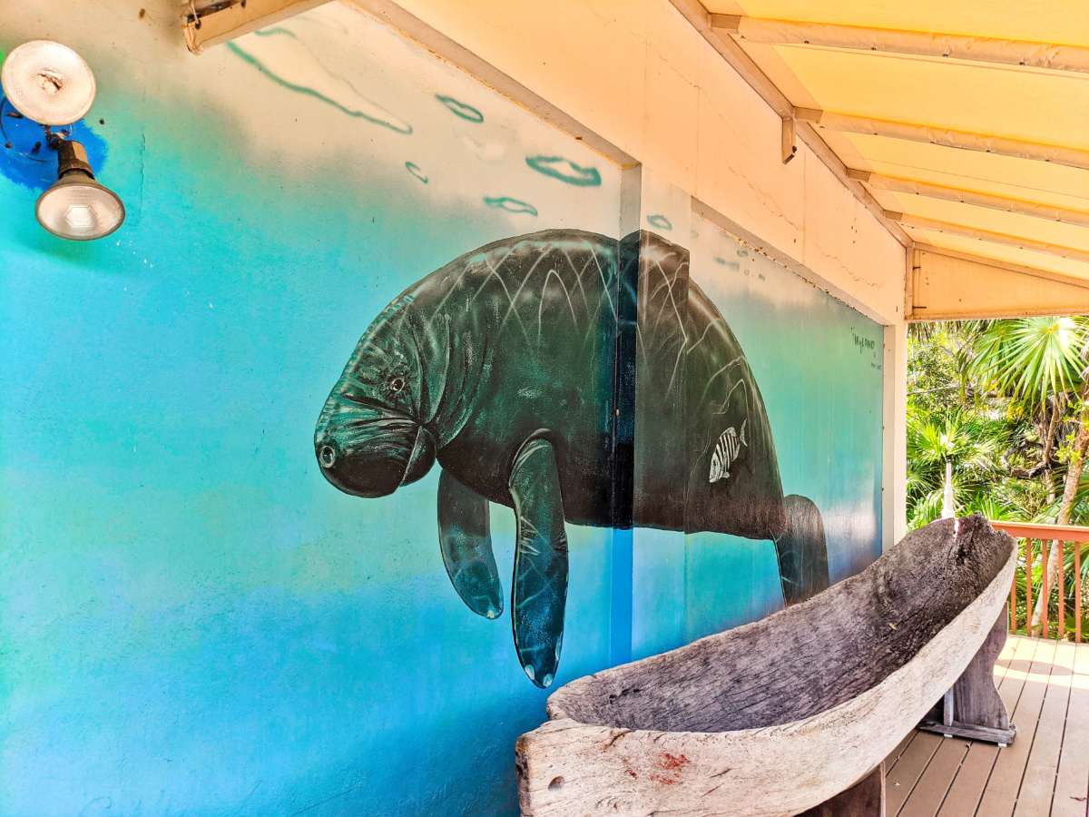 Wyland Manatee Mural at Crane Point Hammock Marathon Florida Keys Road Trip 1