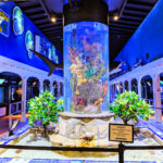 Inside Key West Aquarium Florida Keys 2020 1