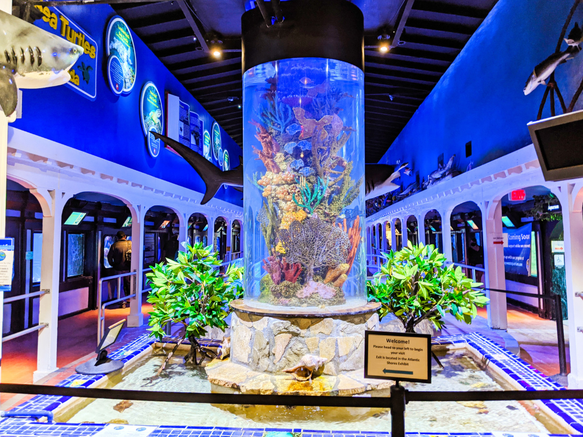 The Key West Aquarium: Vintage, Family Friendly Fun Downtown