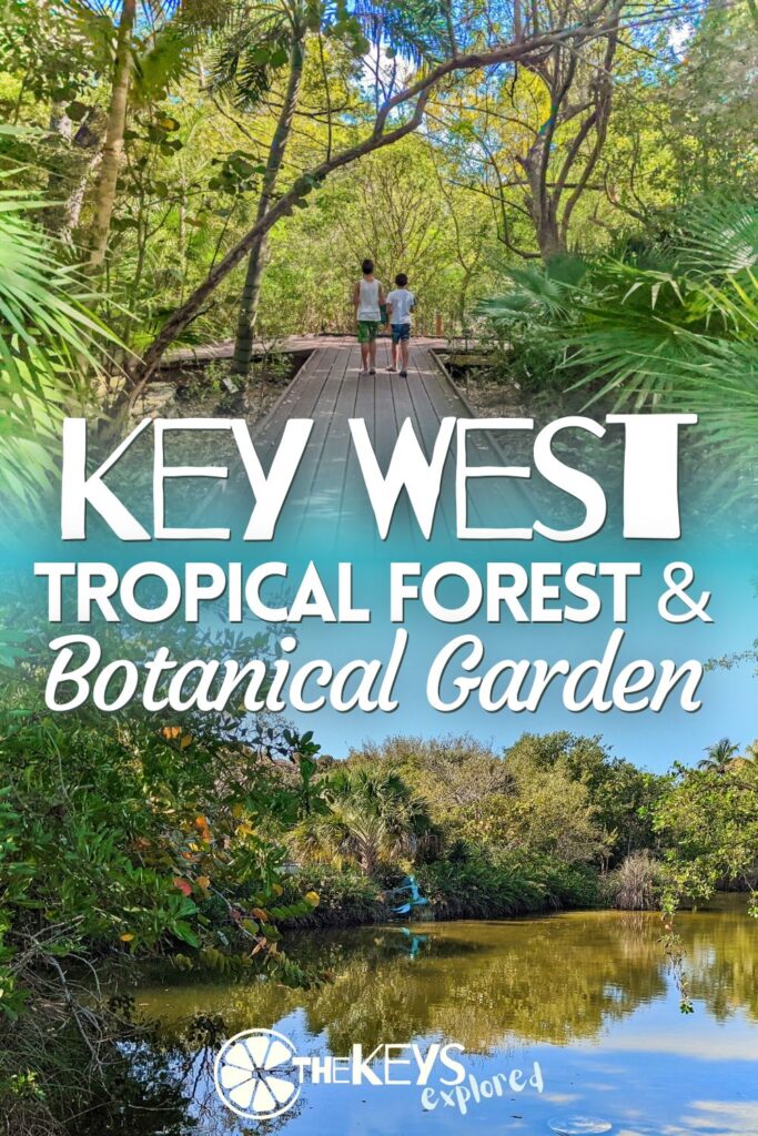 The Key West Botanica Garden is more than that; it's also a tropical forest. See what to expect here and how much time you should set aside for a visit to this unique Florida Keys attraction.