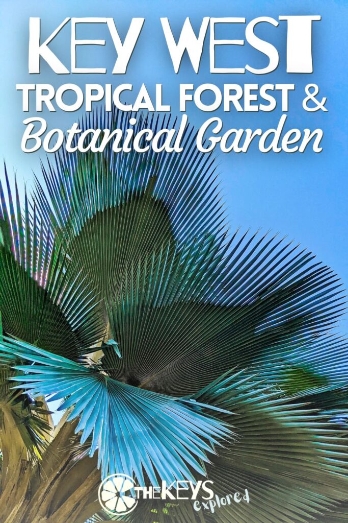 The Key West Botanica Garden is more than that; it's also a tropical forest. See what to expect here and how much time you should set aside for a visit to this unique Florida Keys attraction.