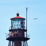 Lantern of Sombrero Key Lighthouse Marathon Florida Keys 1