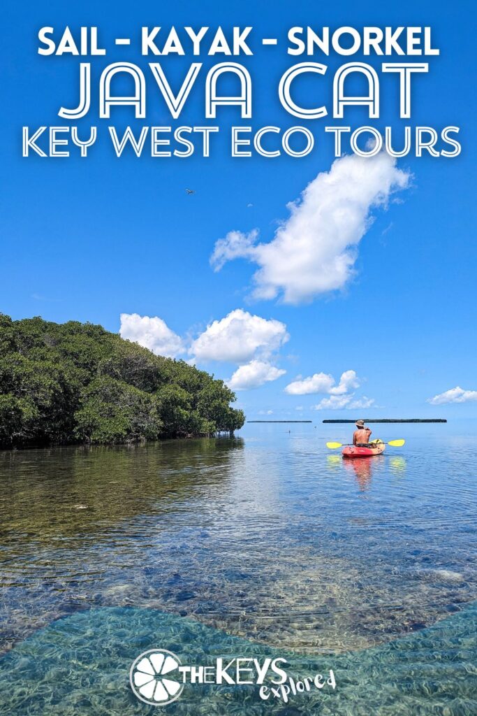 Going out on the Java Cat with Key West Eco Tours is one of the best wildlife photography tours I've done. See what to expect from this catamaran sailing / kayak / snorkel tour and what sets it apart from other Key West boat tours.