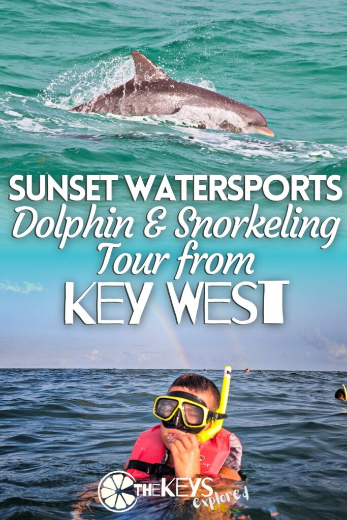 The Sunset Watersports dolphin snorkeling tour combo is a great way to get out on the water and explore below the surface. See what to expect and how to plan your trip for dolphin watching and snorkeling from Key West