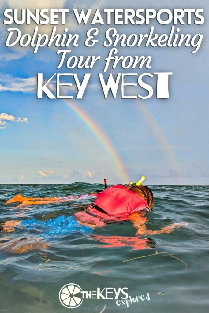 The Sunset Watersports dolphin snorkeling tour combo is a great way to get out on the water and explore below the surface. See what to expect and how to plan your trip for dolphin watching and snorkeling from Key West