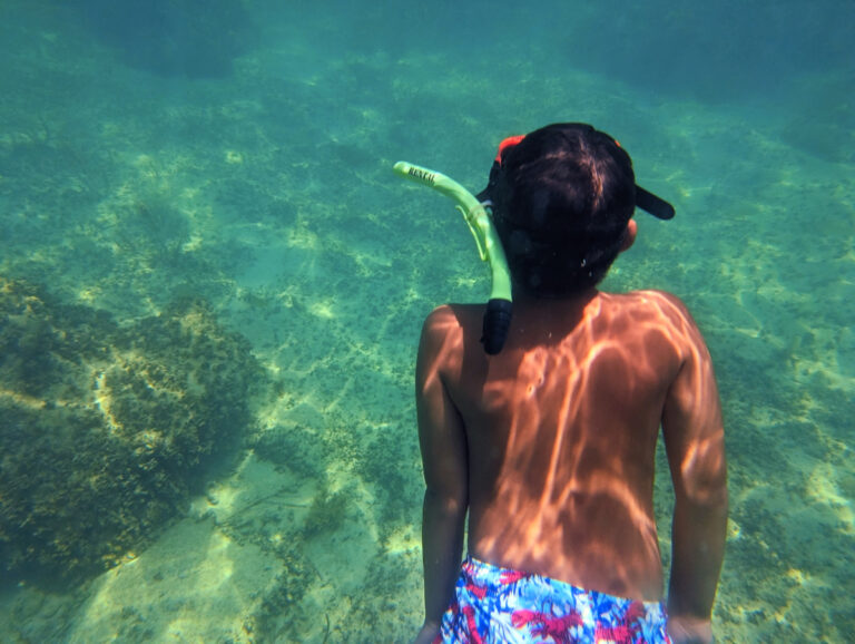 Taylor Family Underwater on Morning Snorkel Tour with Sunset Watersports Key West Florida Keys 1