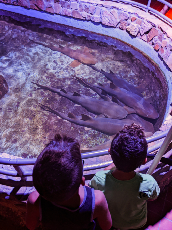 Taylor Family with Sharks Inside Key West Aquarium Florida Keys 2020 1