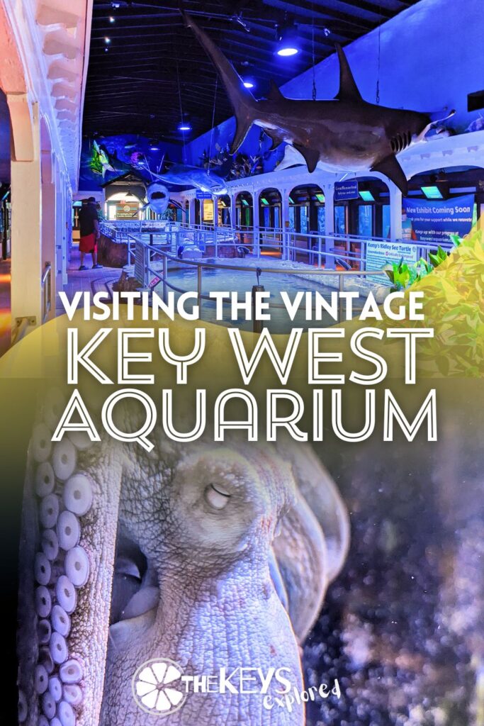 The Key West Aquarium is a cool, vintage attraction in the historic district, and it's an easy addition to your time in Key West. See what you'll find at the aquarium and what makes it a unique feature in Key West.