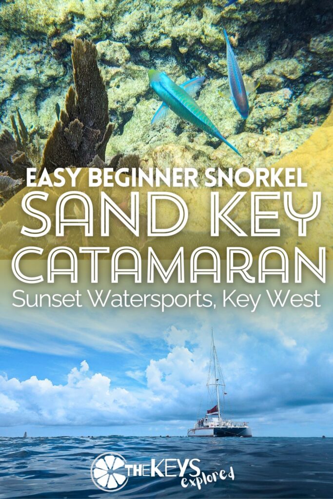 The catamaran snorkeling tour from Sunset Watersports in Key West is one of the best beginner snorkel tours available. See what to expect on this sailing trip, including sights and how to be prepared for Key West snorkeling.